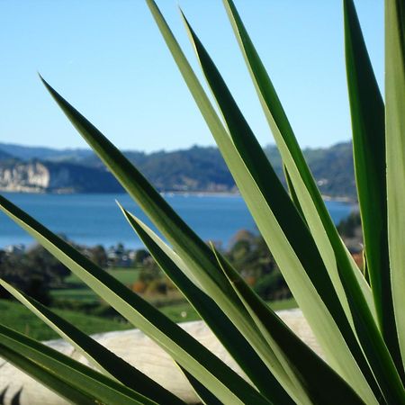 Ohuka Place Homestay Whitianga Luaran gambar