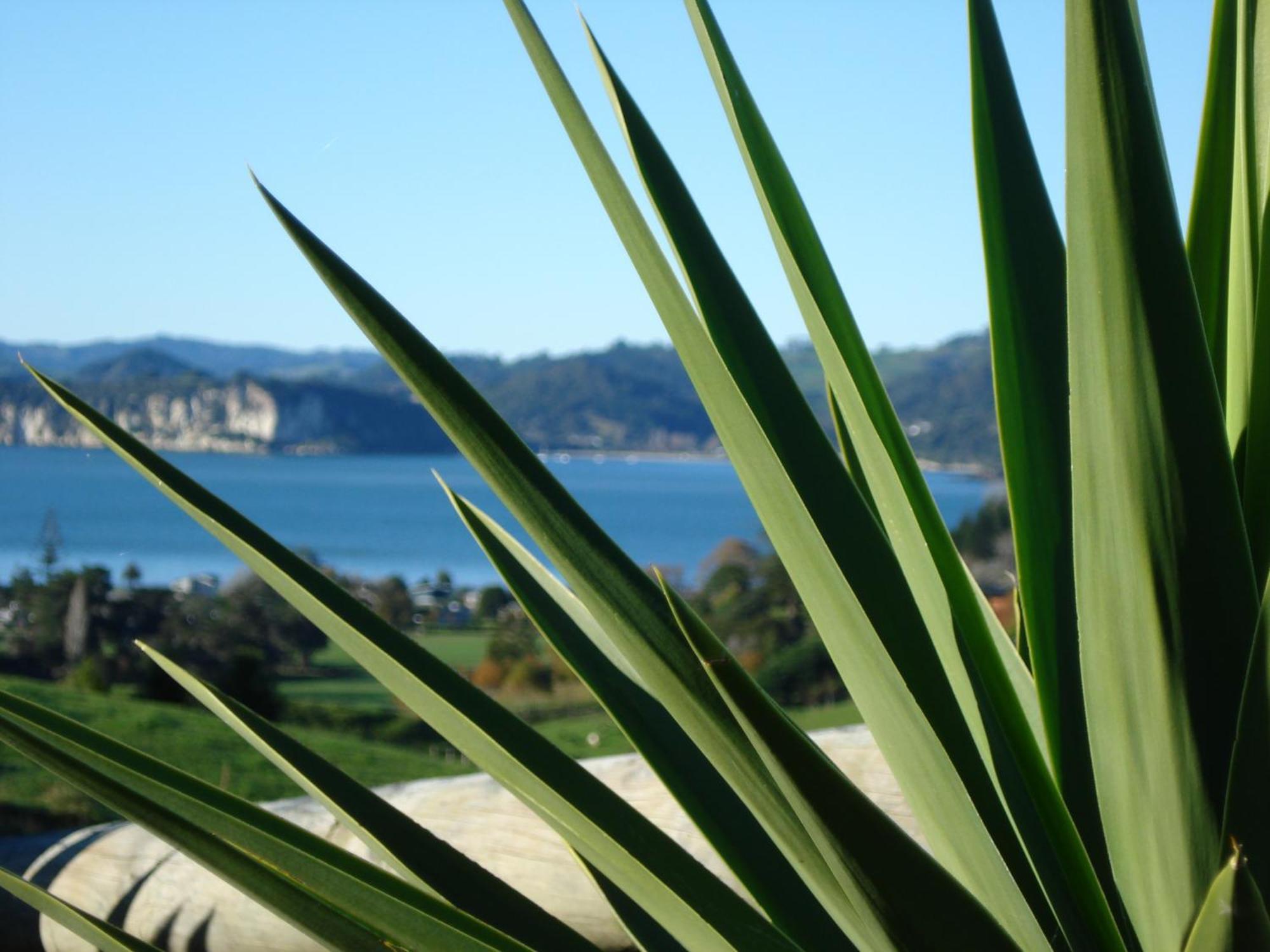 Ohuka Place Homestay Whitianga Luaran gambar