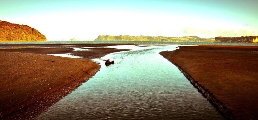 Ohuka Place Homestay Whitianga Luaran gambar