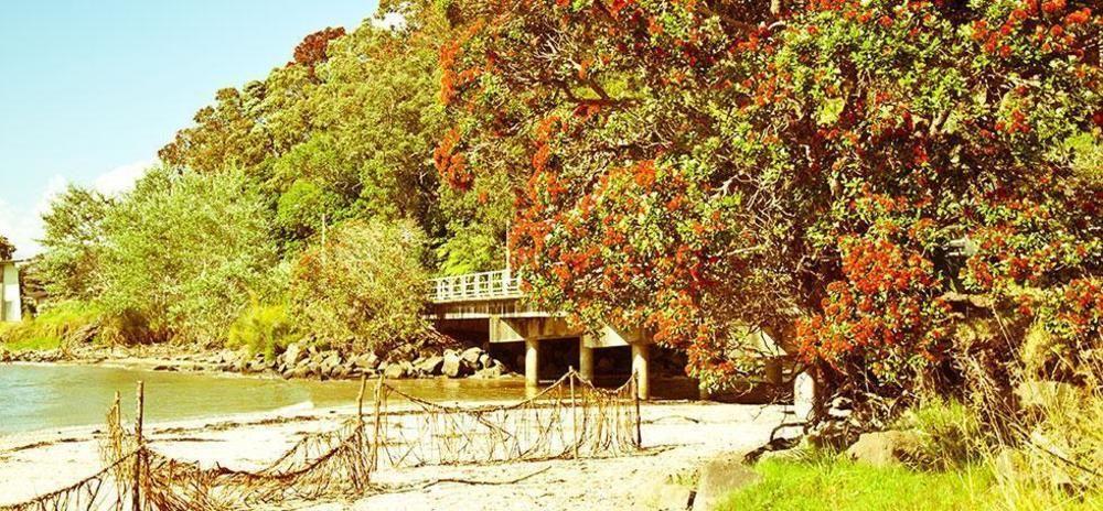 Ohuka Place Homestay Whitianga Luaran gambar